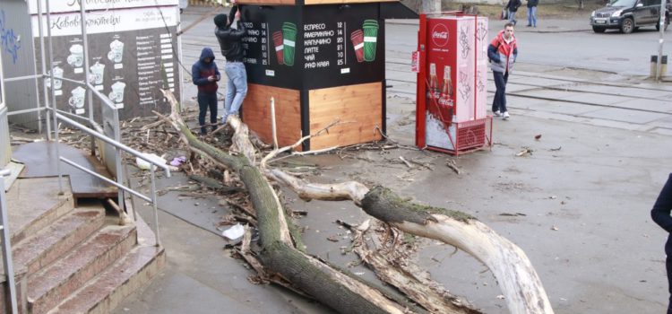 Что натворил ураган в столице: поломанные деревья и не только, есть пострадавшие